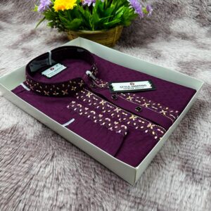 Sequence Embroidery Panjabi